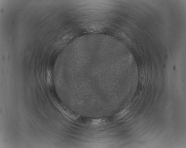 X0000067910130200605041653