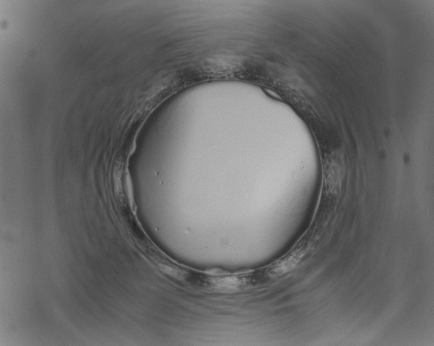 X0000067910131200605041653