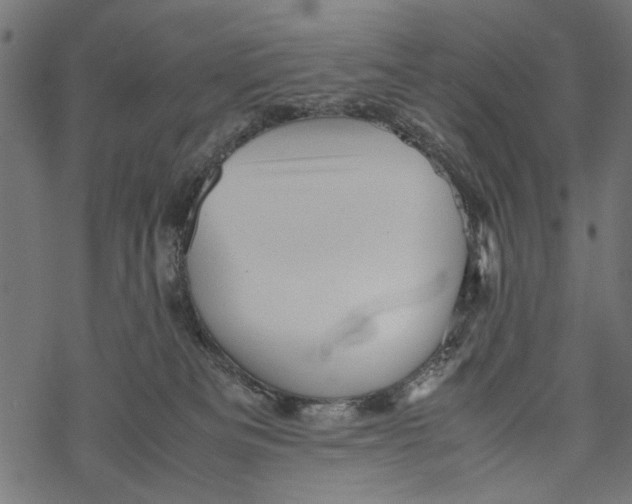 X0000067910133200605041653