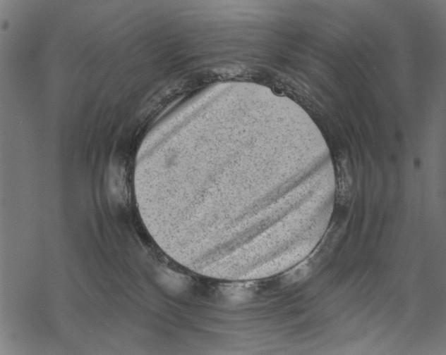 X0000067910136200605041653