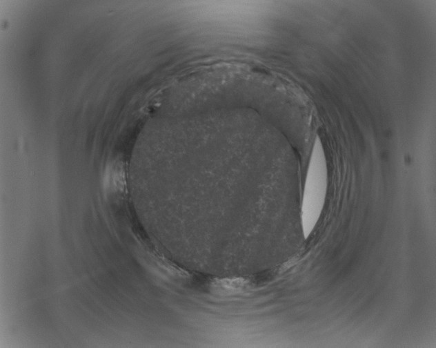 X0000067910137200605041653