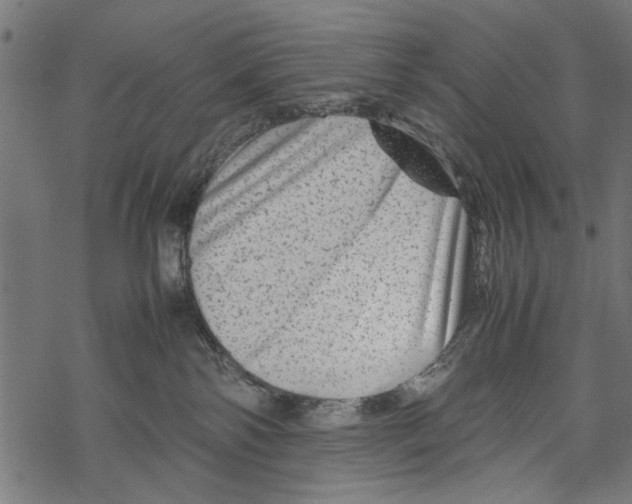 X0000067910138200605041653