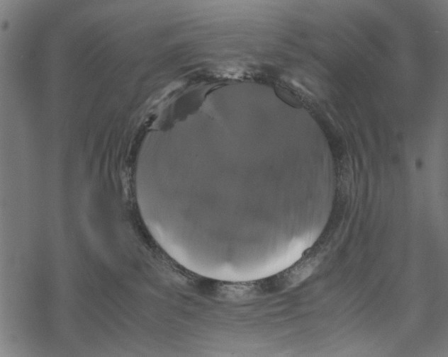 X0000067910139200605041653