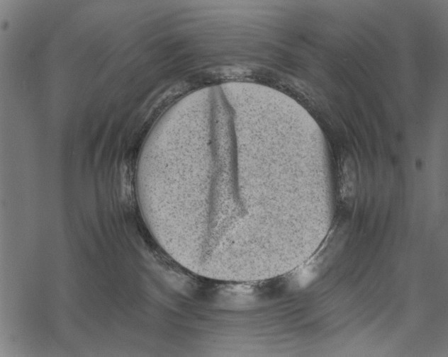 X0000067910140200605041653