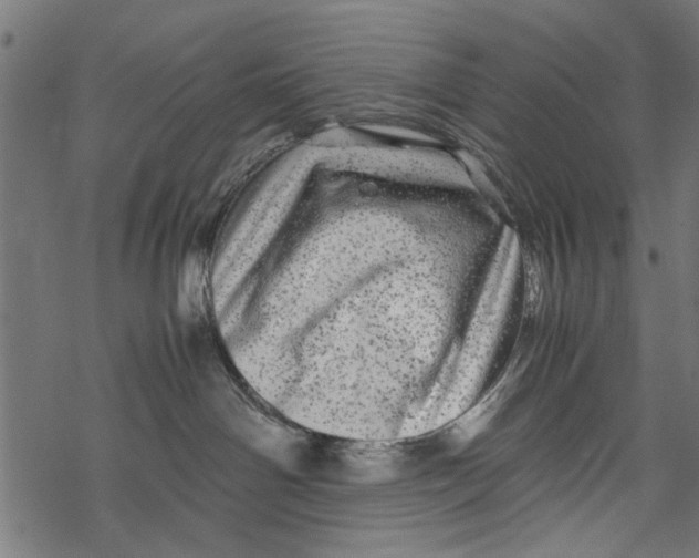 X0000067910142200605041653