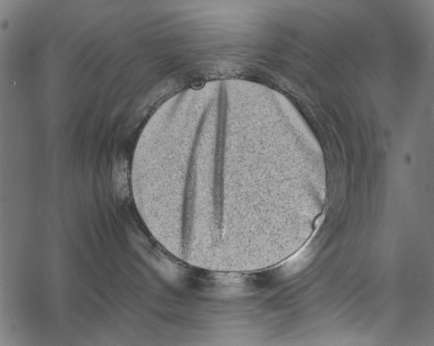 X0000067910144200605041653