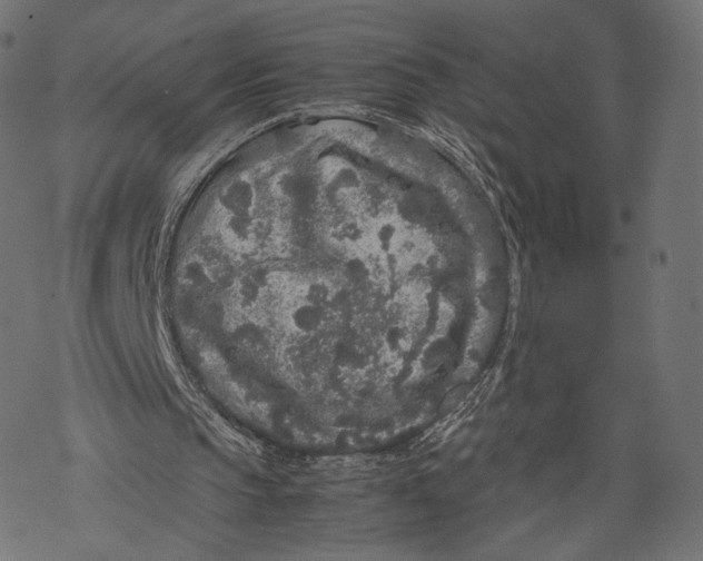 X0000067910145200605041652