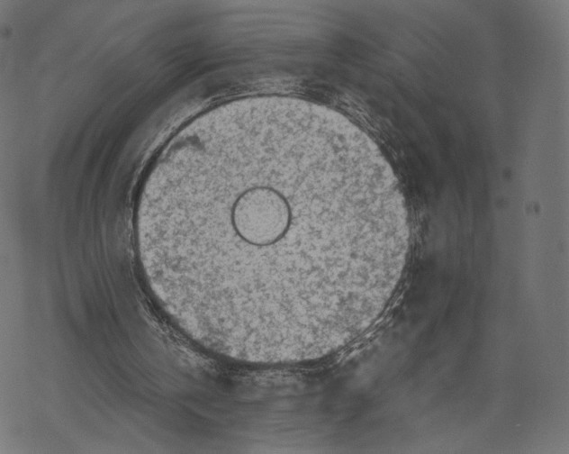 X0000067910146200605041652