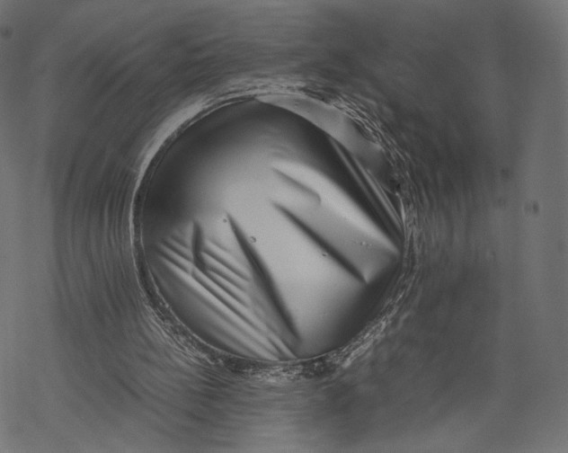 X0000067910148200605041652