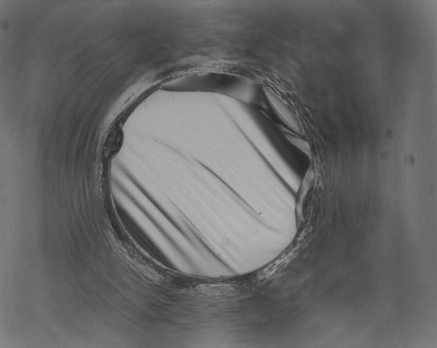 X0000067910150200605041652