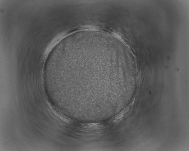 X0000067910151200605041652