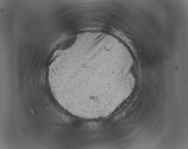 X0000067910153200605041652