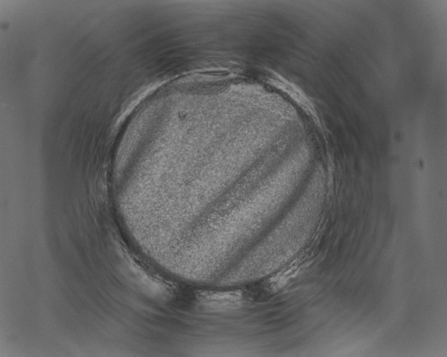 X0000067910155200605041652