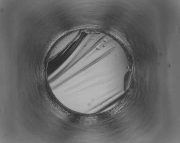 X0000067910156200605041652