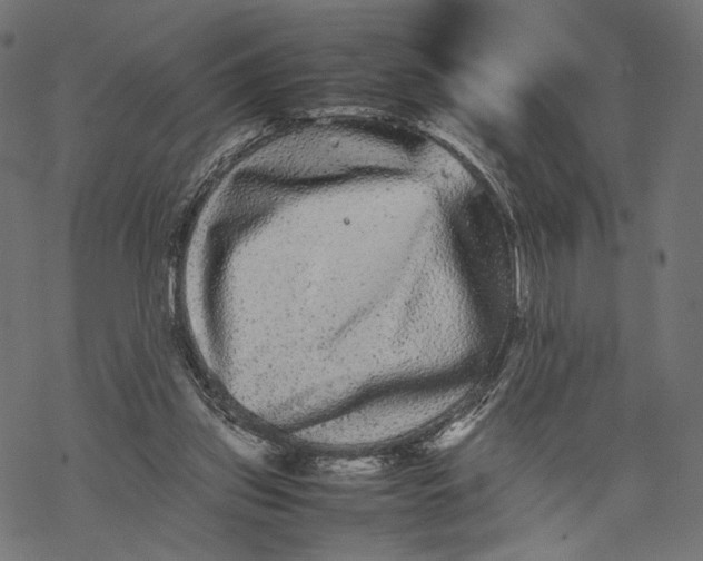 X0000067910157200605041652