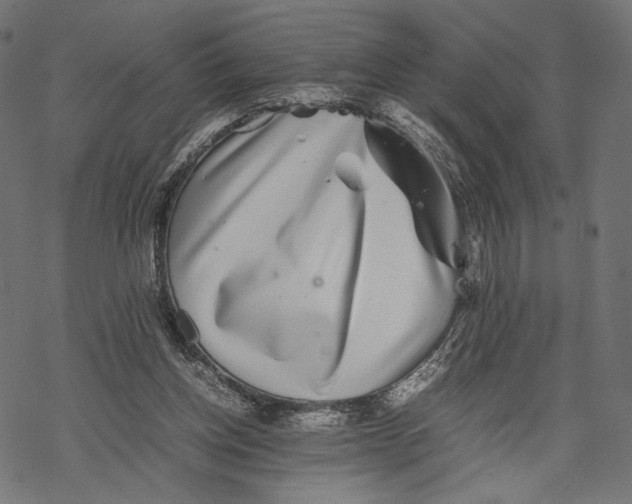 X0000067910158200605041652