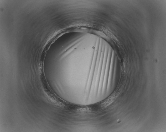 X0000067910160200605041652