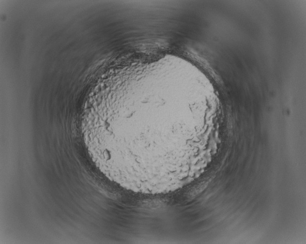 X0000067910161200605041652