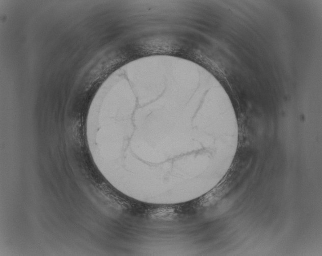 X0000067910162200605041652