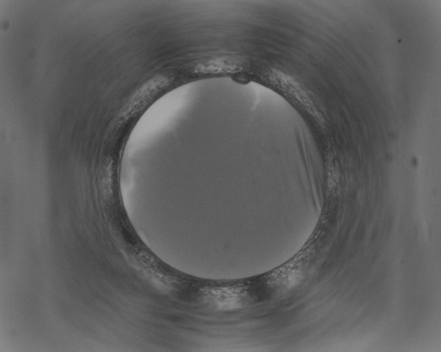 X0000067910163200605041652