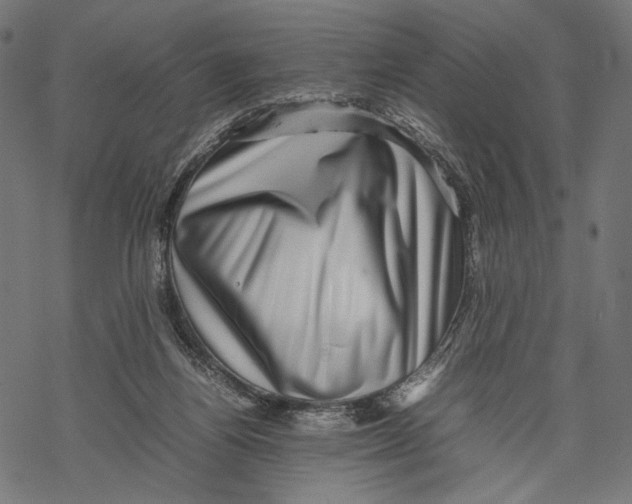 X0000067910164200605041652