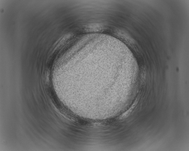 X0000067910166200605041652