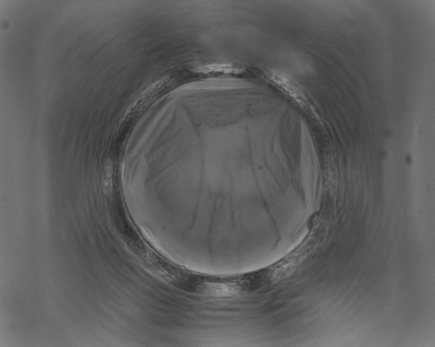 X0000067910167200605041652