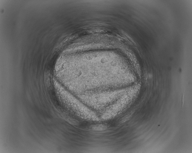 X0000067910169200605041652