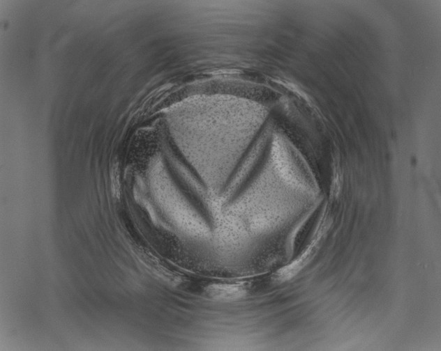 X0000067910170200605041652