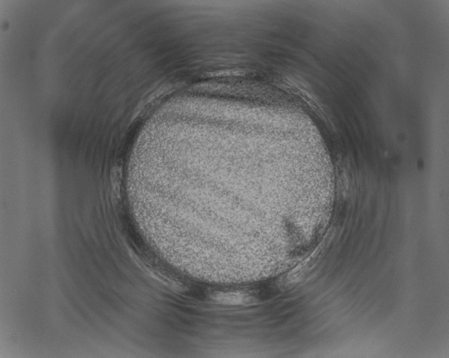 X0000067910171200605041652