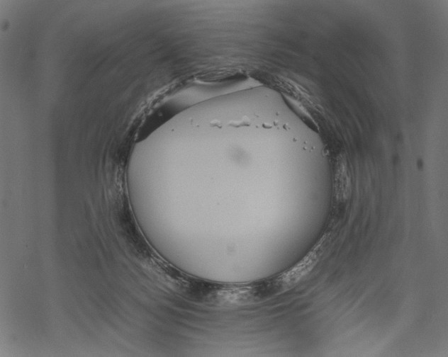 X0000067910172200605041652