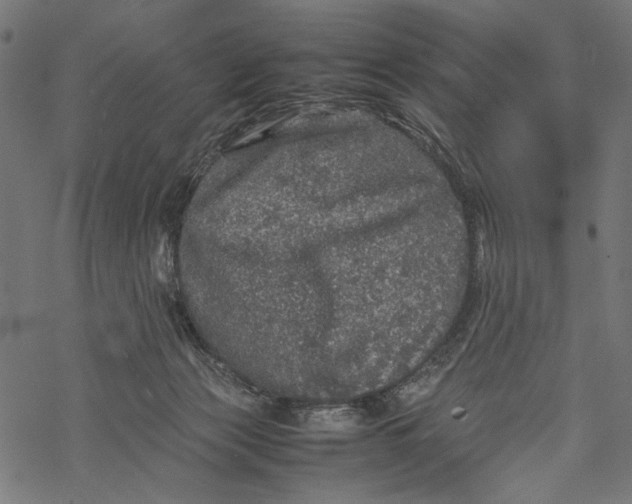 X0000067910173200605041653