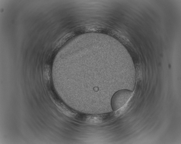 X0000067910174200605041653