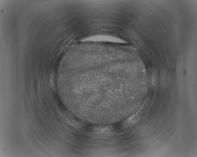 X0000067910175200605041653