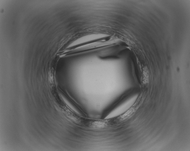 X0000067910176200605041653