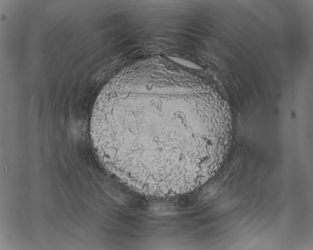 X0000067910177200605041653