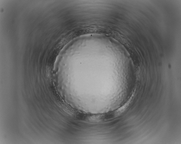 X0000067910178200605041653