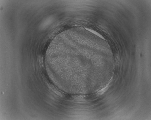 X0000067910182200605041653