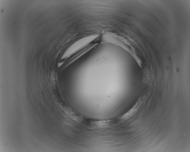 X0000067910184200605041653