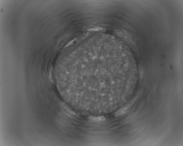 X0000067910185200605041653