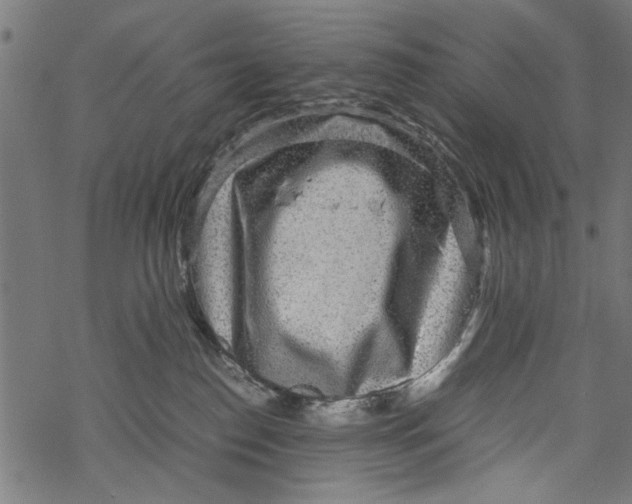 X0000067910186200605041653