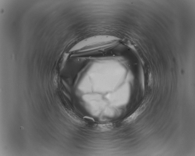 X0000067910188200605041653