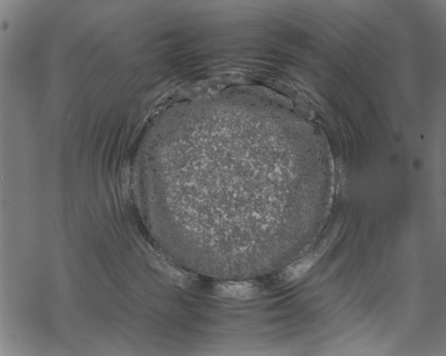 X0000067910189200605041653