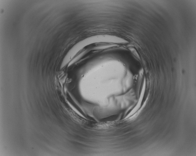 X0000067910190200605041653