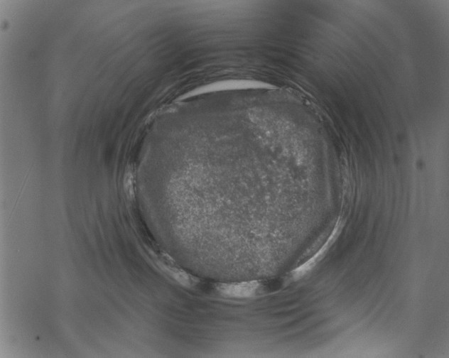 X0000067910191200605041653