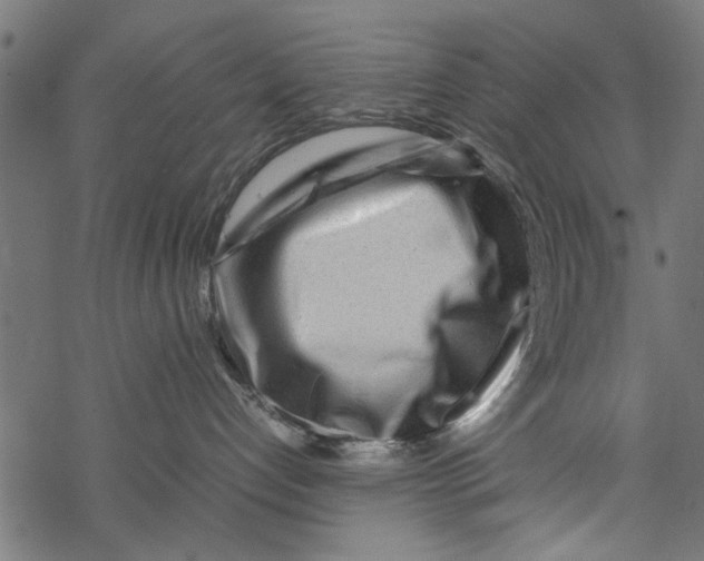 X0000067910192200605041653