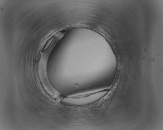 X0000067910193200605041652