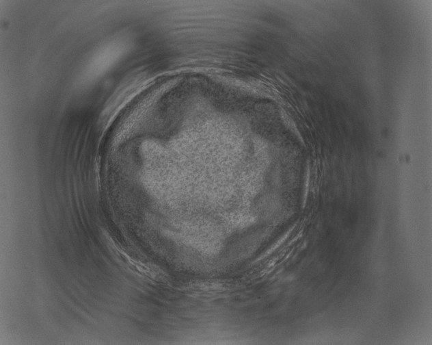 X0000067910194200605041652