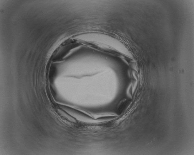 X0000067910195200605041652