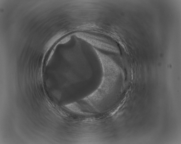 X0000067910196200605041652